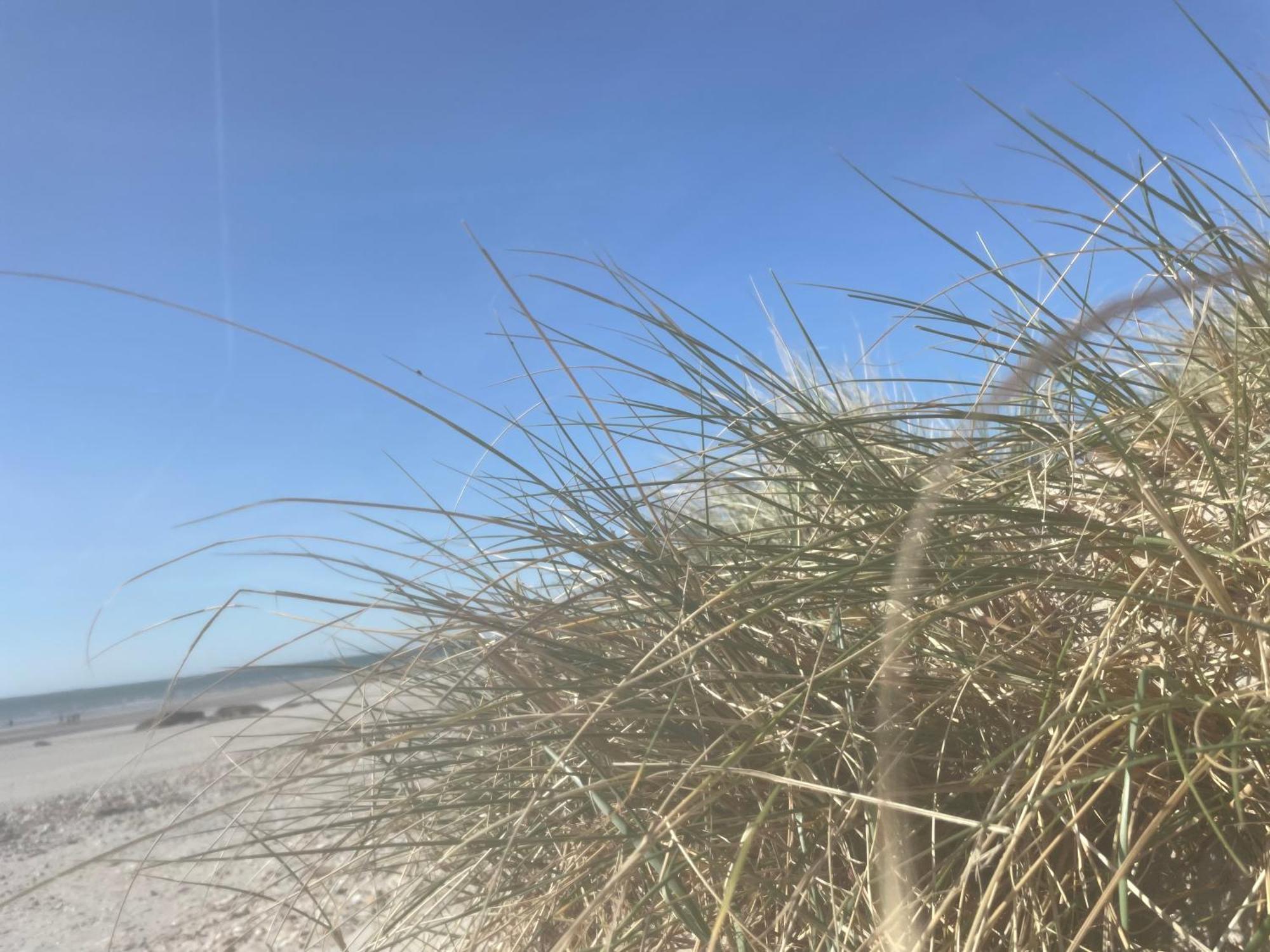 Vue Mer, Golfe et Dunes- Résidence Dunes du Golfe Wimereux Exterior foto